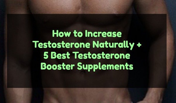 Top 5 Supplements To Increase Testosterone