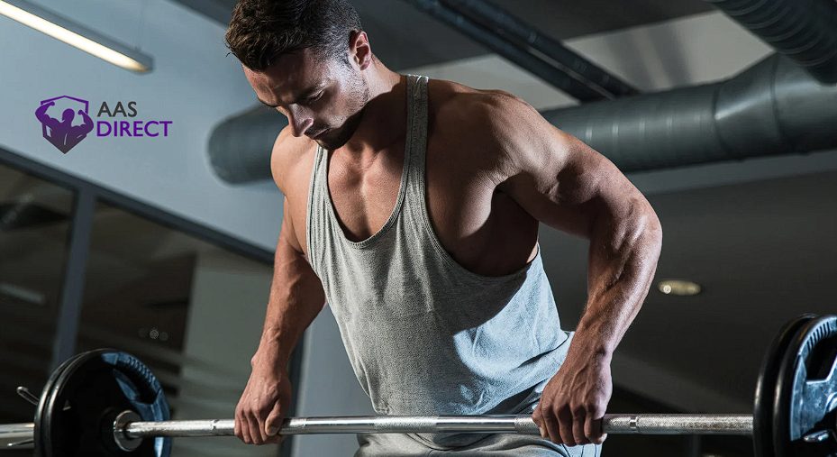 Dianabol vs. Oxandrolone: Which Anabolic Steroid Is Right for You?