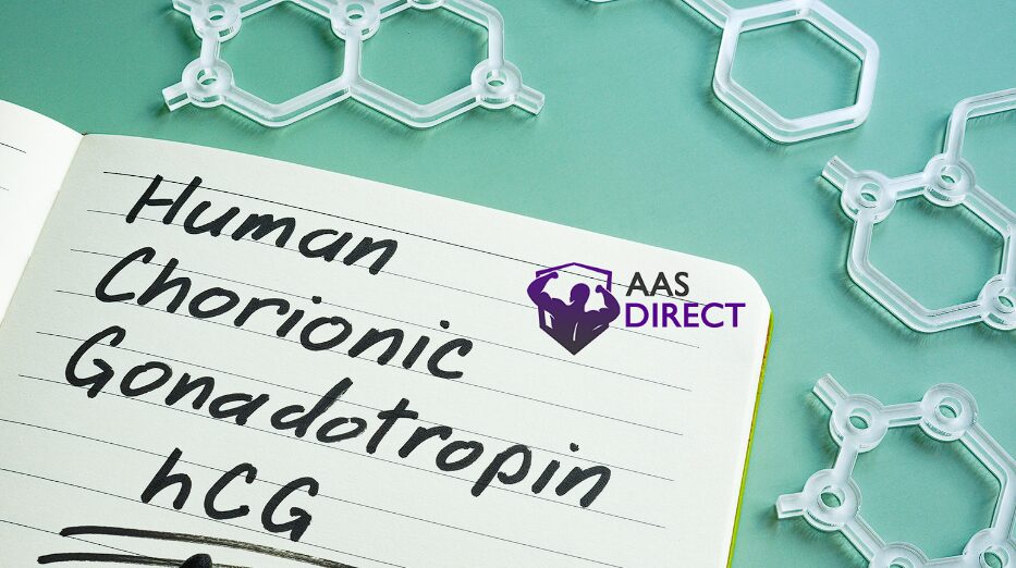 Unveiling HCG 5000: Comprehensive Guide to Its Uses, Benefits, and Safety