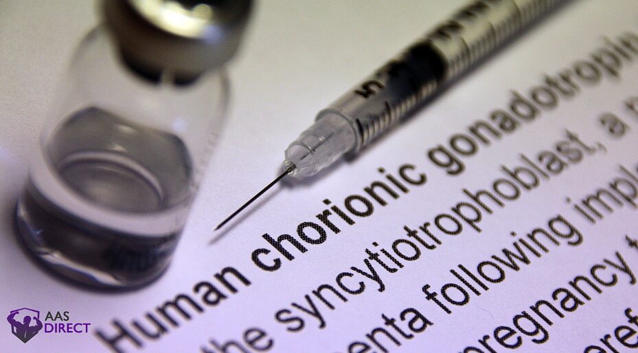 HCG 5000: A Complete Guide to Human Chorionic Gonadotropin