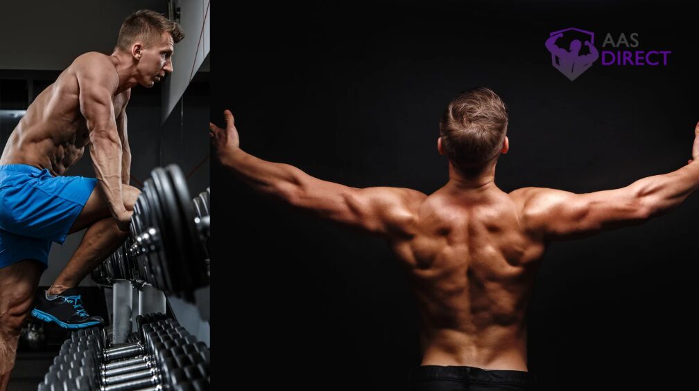 Comparing Rad 140 and Turinabol: Which Steroid Should You Choose?