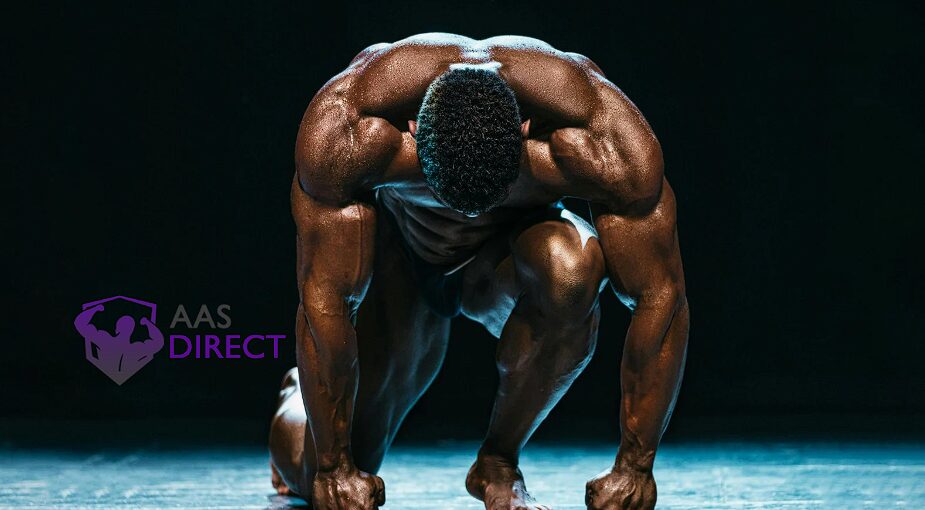 Hcg 5000 Bodybuilding