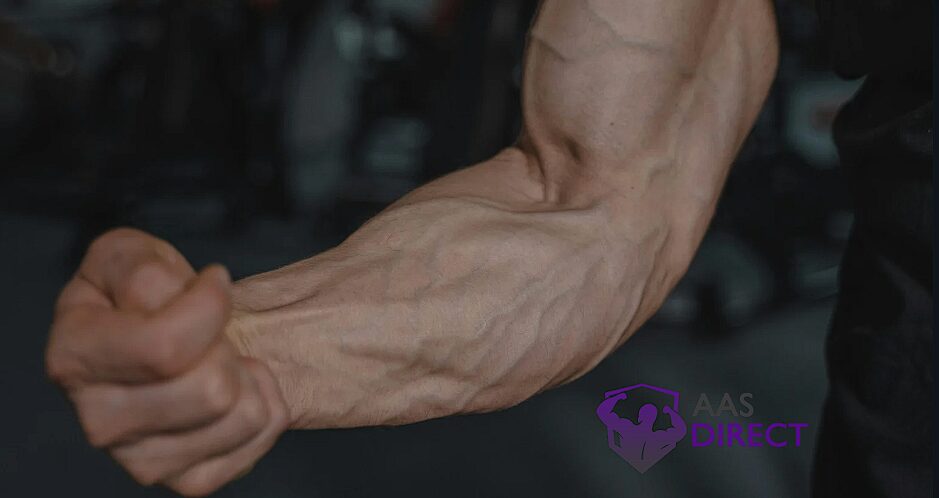 Hcg 5000 Bodybuilding