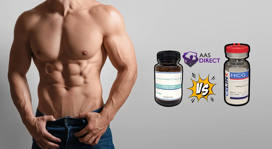 Enclomiphene Vs. HCG Which Is More Effective for Testosterone Boosting?