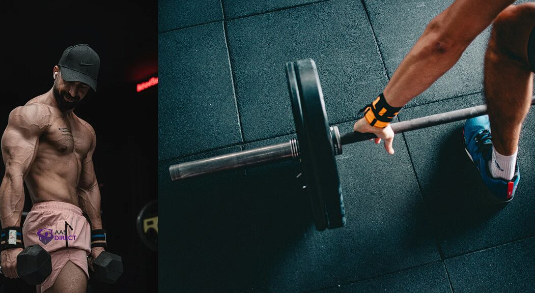 Enclomiphene Vs Hcg
