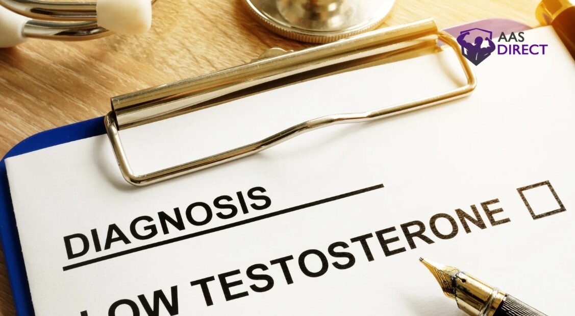 testosterone