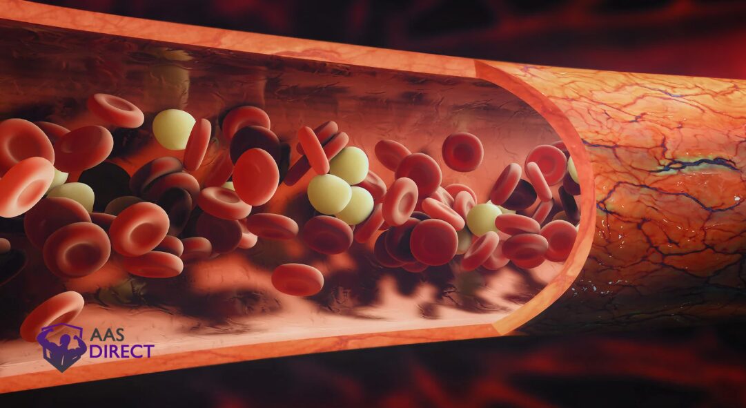 blood flow