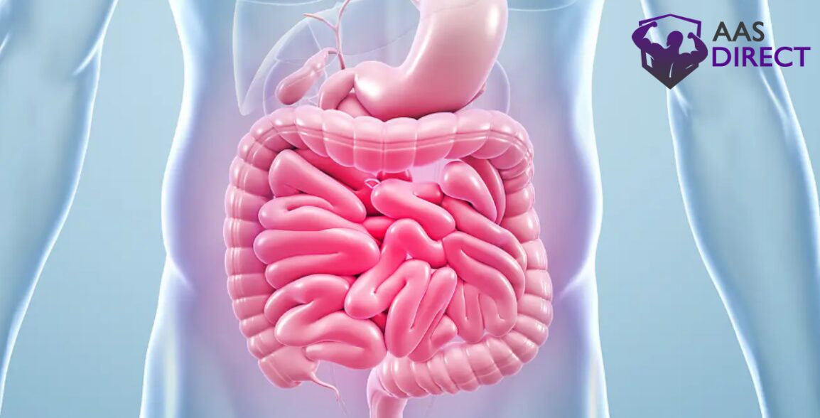 Gut Health