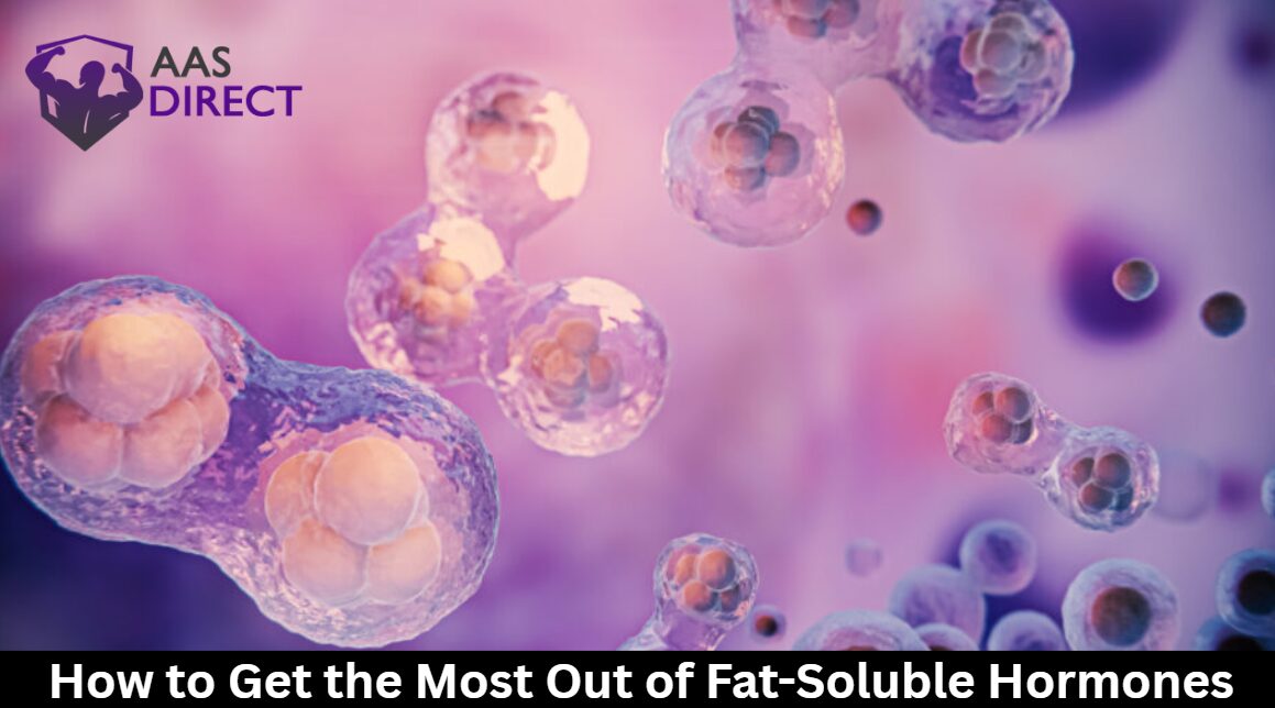 How to Get the Most Out of Fat-Soluble Hormones