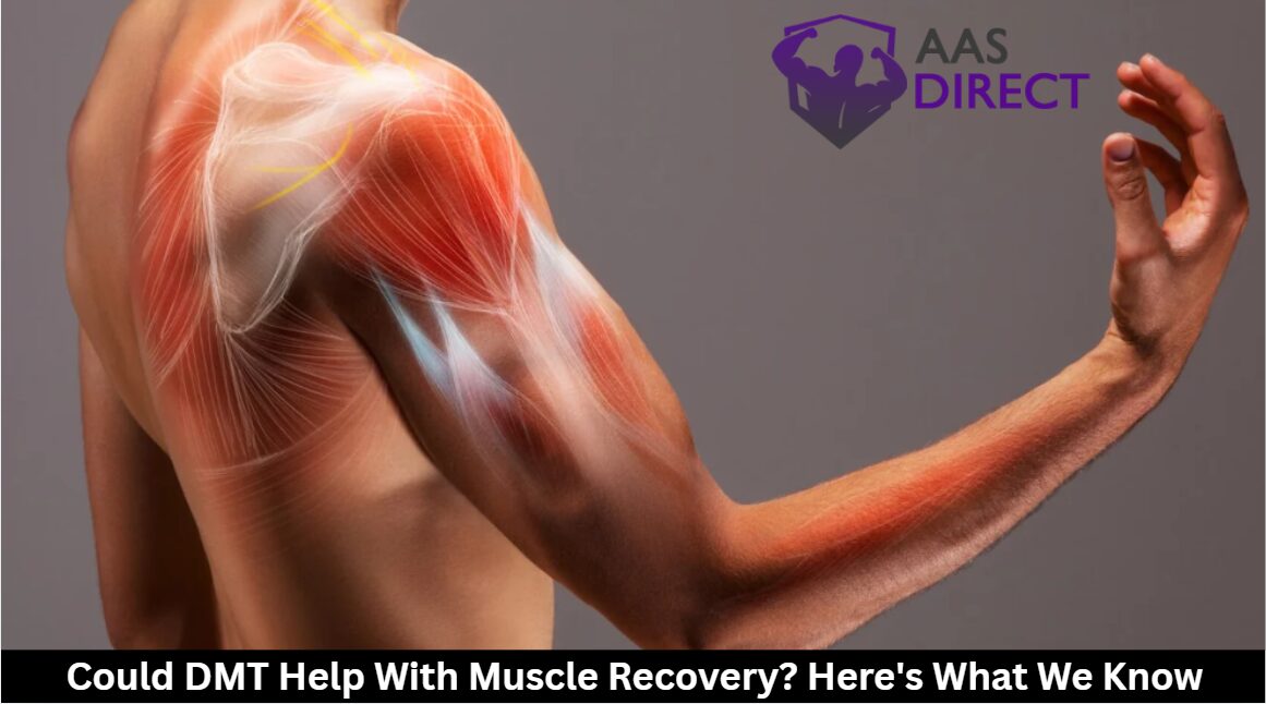 Could DMT Help With Muscle Recovery? Here’s What We Know