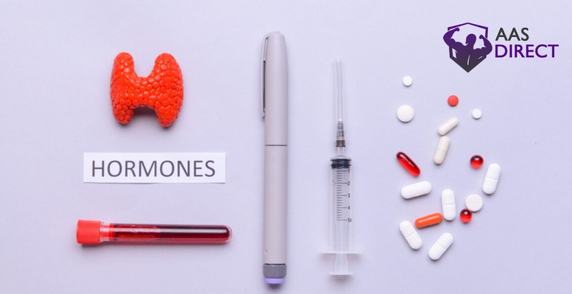 Hormonal Recovery