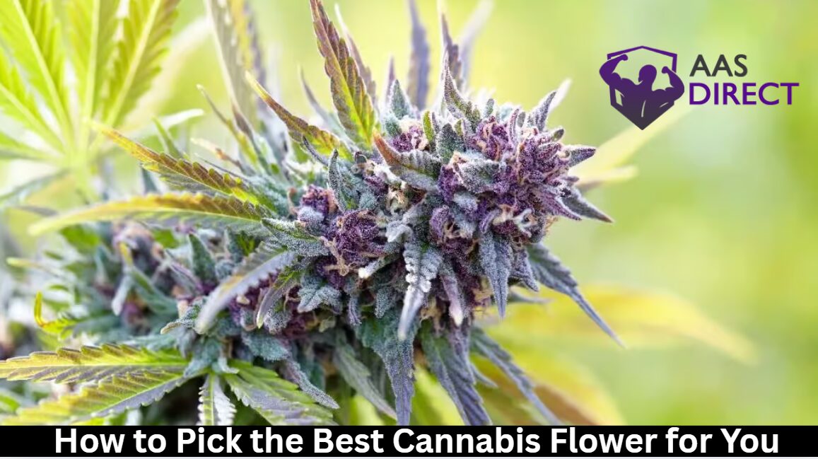 How to Pick the Best Cannabis Flower for You