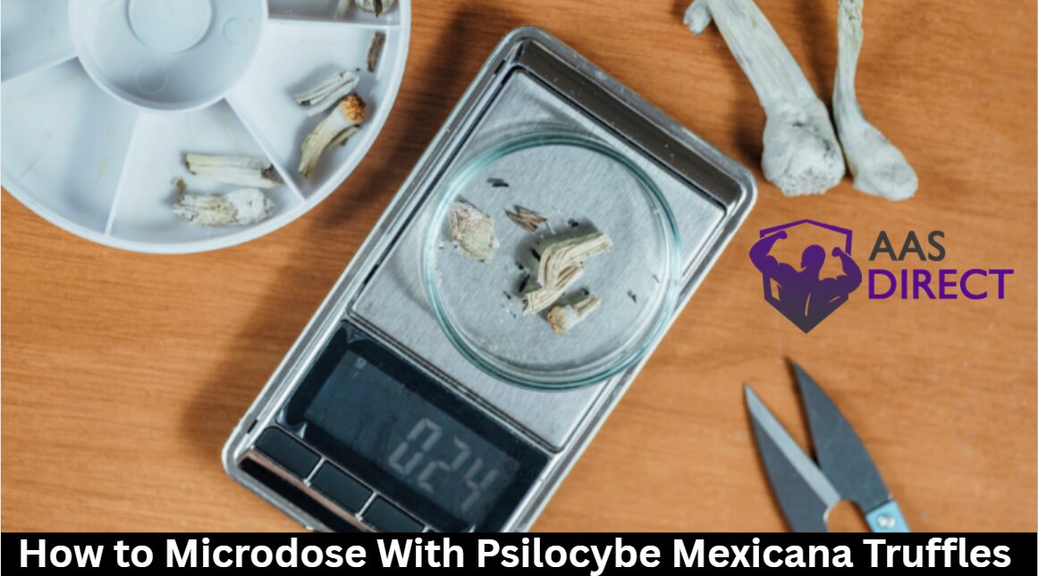 How to Microdose With Psilocybe Mexicana Truffles