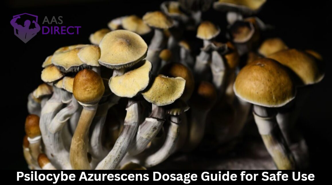 Psilocybe Azurescens Dosage Guide for Safe Use