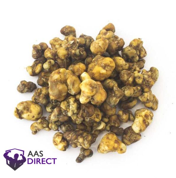 Psilocybe Mexicana Truffles