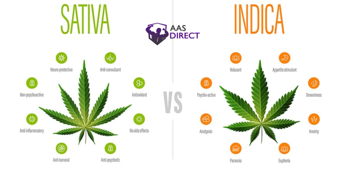SAtiva vs indica