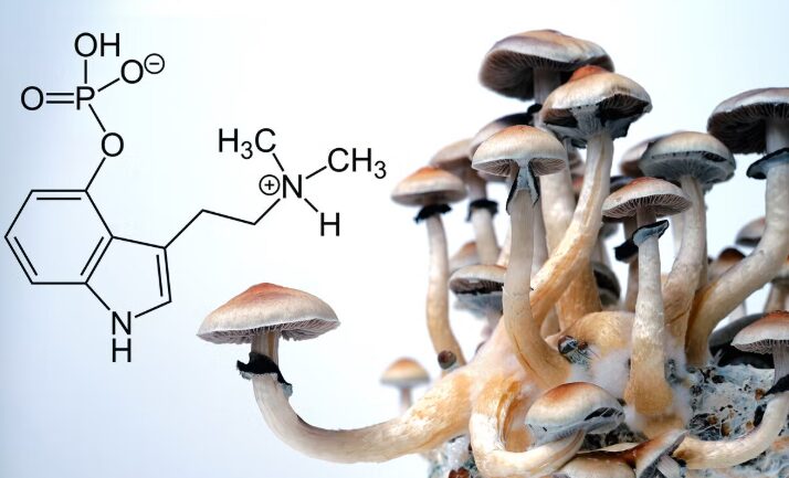 The Feeling of Euphoria From Magic Mushrooms Explained
