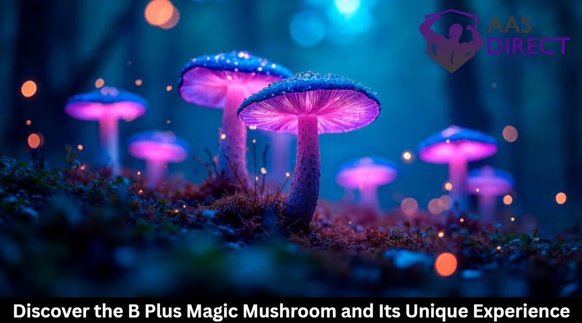 Discover the B Plus Magic Mushroom and Its Unique Experience