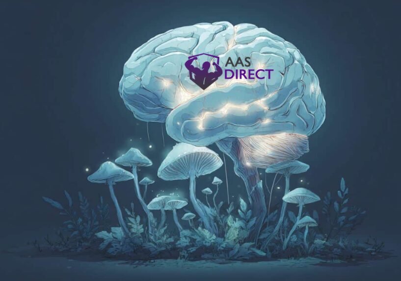 B plus mushroom Psychological Effects