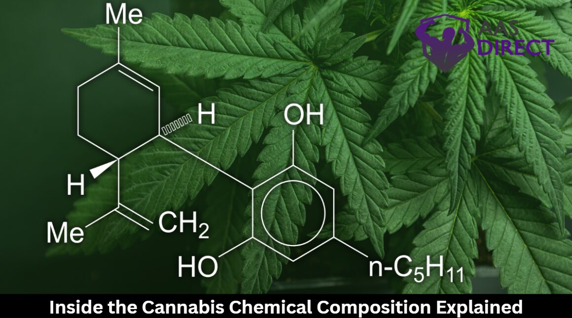 Inside the Cannabis Chemical Composition Explained