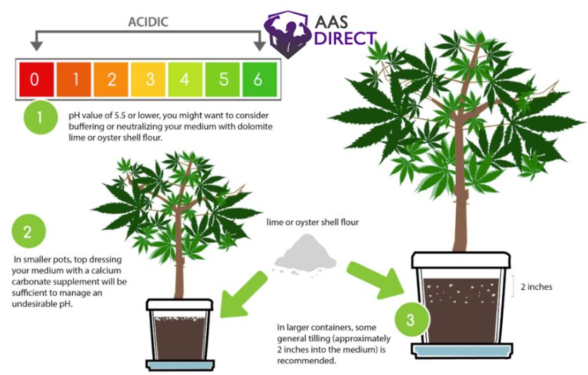 Cannabis Nutrients and pH