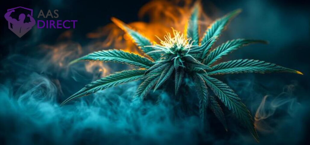 Cannabis System