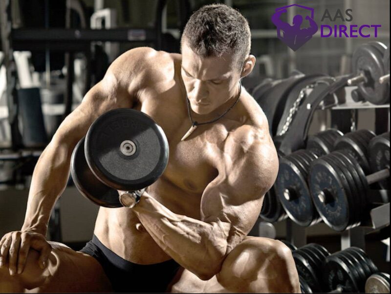 Maximum Muscle Development