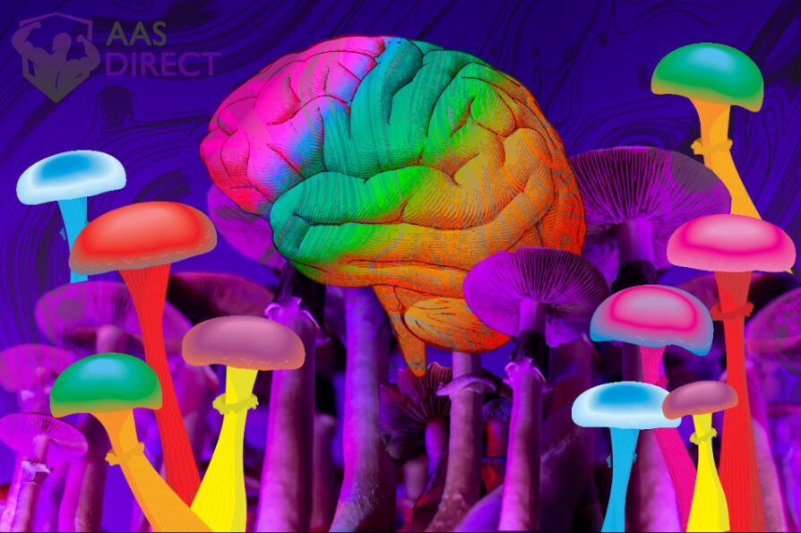 Psilocybin Changes Your Brain