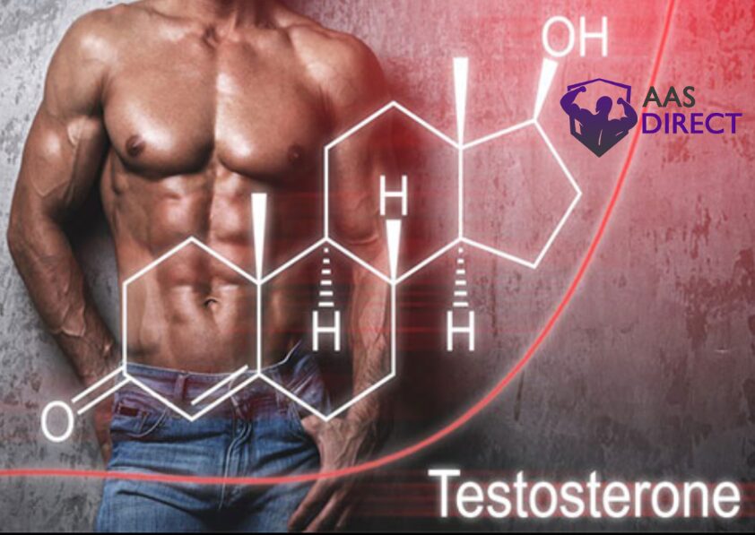 Sustanon 250 vs. Other Testosterone