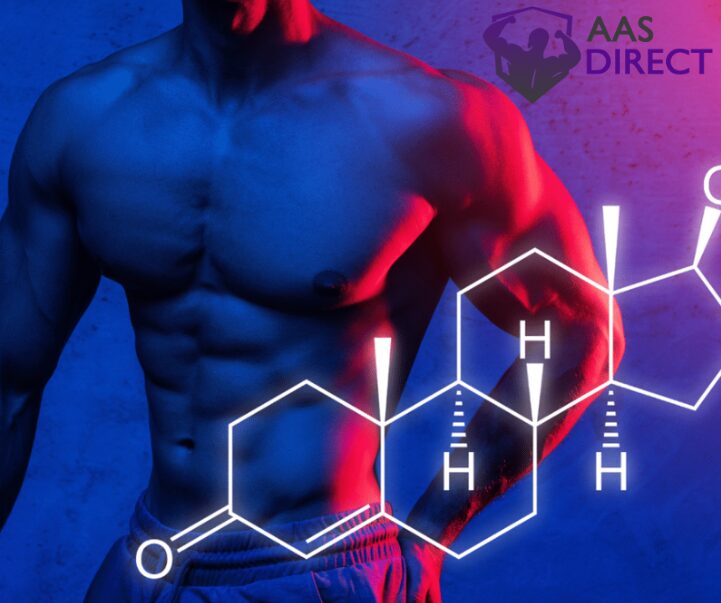 Sustanon's Release System