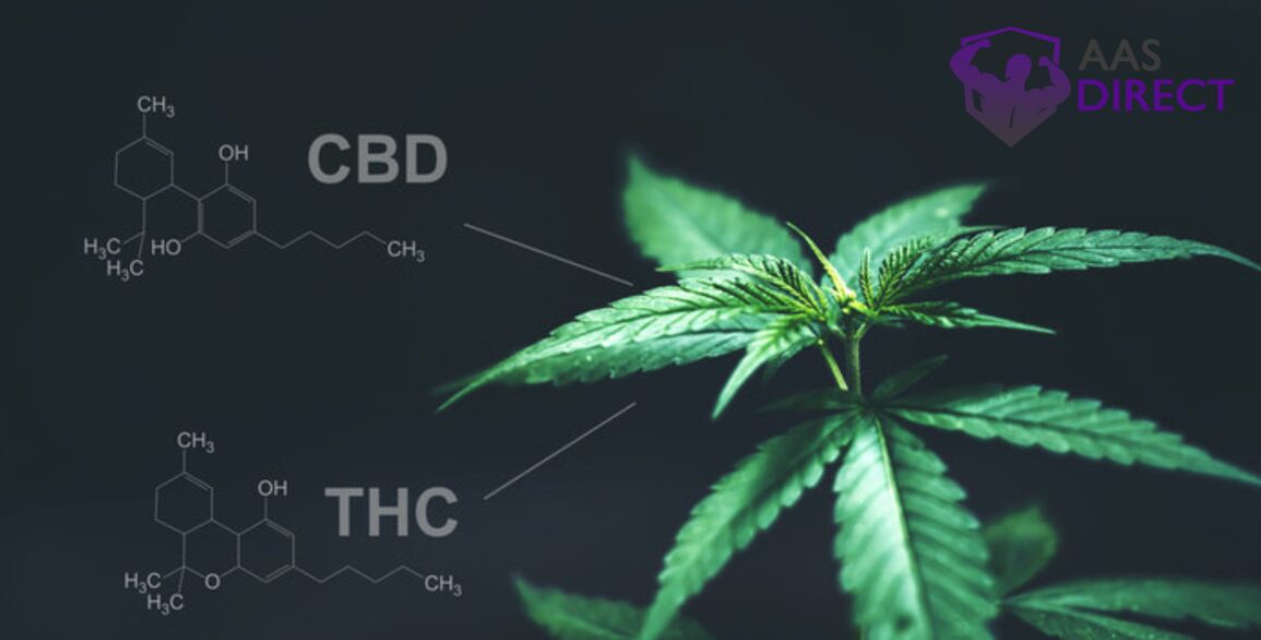 THC, CBD
