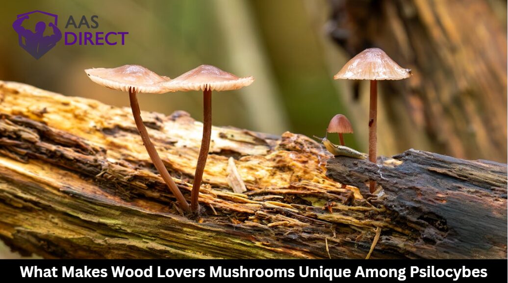 What Makes Wood Lovers Mushrooms Unique Among Psilocybes