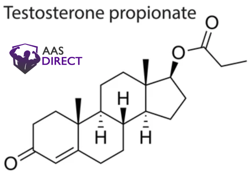 testosterone Propionate