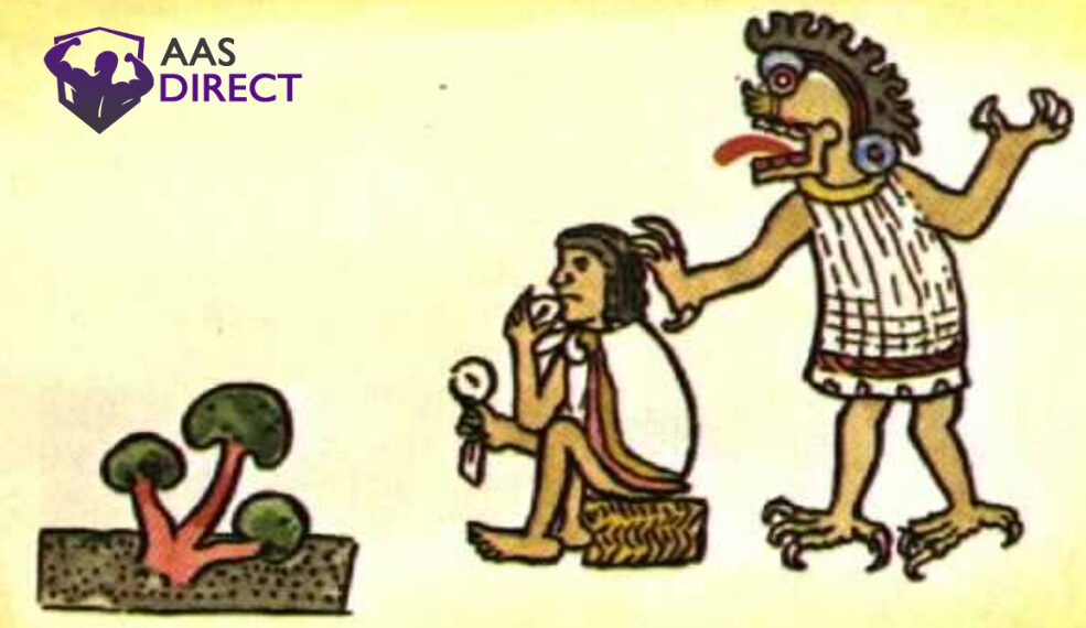 Ancient Sacred Mushroom Traditions