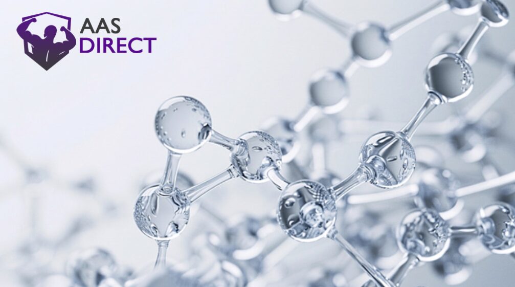Essential Amino Acids