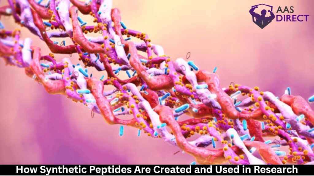 How Synthetic Peptides Are Created