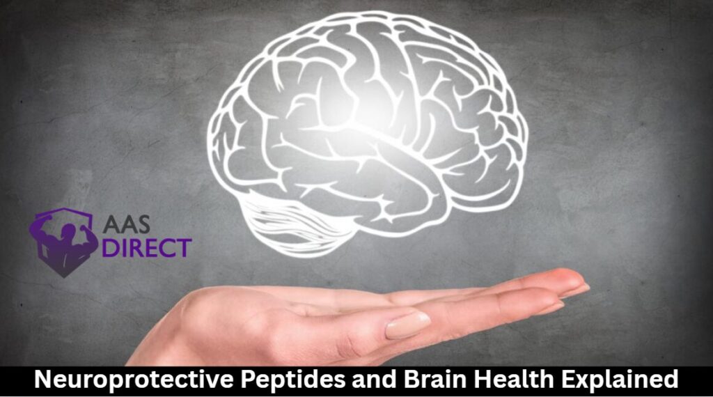 Neuroprotective Peptides and Brain Health Explained
