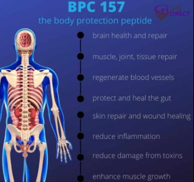 BPC 157 Benefits
