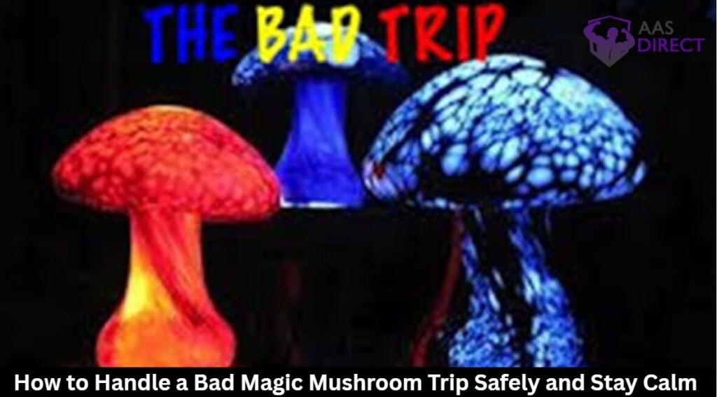 bad magic mushroom trip