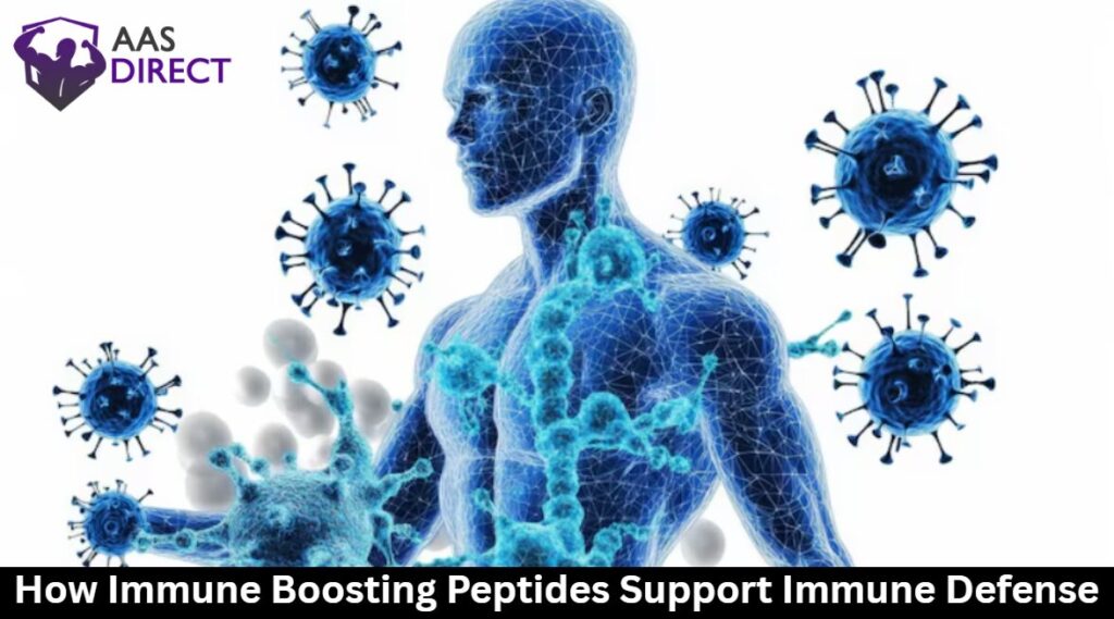 Immune-Boosting Peptides Support Immune Defense