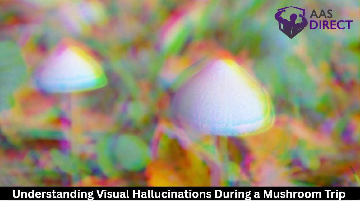 Understanding Visual Hallucinations During a Mushroom Trip
