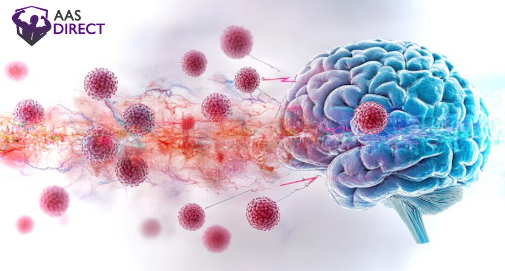 5-HT2A Receptors in the Brain