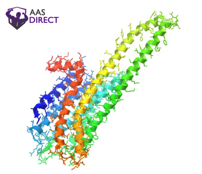 5-HT2A Receptors