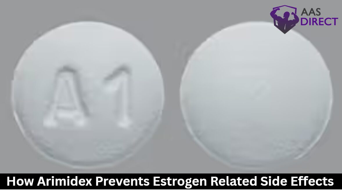 How Arimidex Prevents Estrogen Related Side Effects