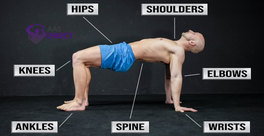 Key Joints Your Daily Mobility Routine