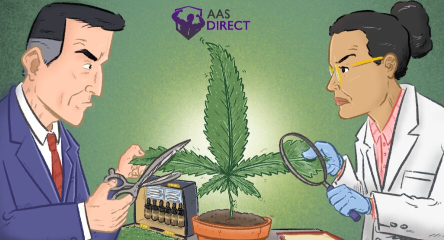 Research About Cannabis for Pain