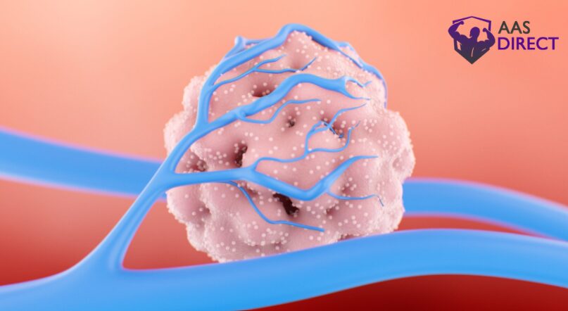 Rewires Metabolism