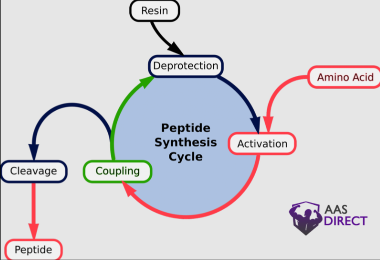 Synthesis Methods peptides