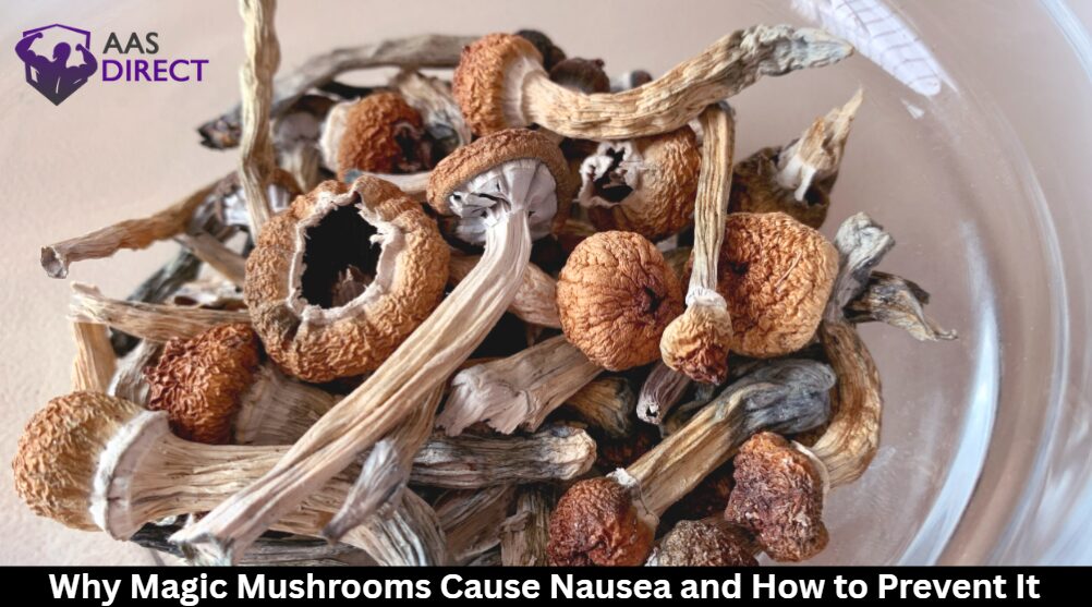 Why Magic Mushrooms Cause Nausea
