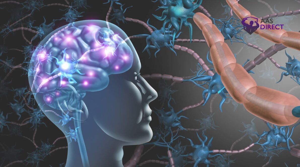 Using Magic Mushrooms in Addiction Recovery Programs
